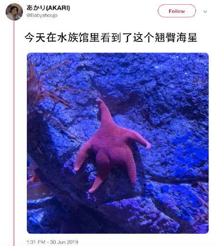 派大星是你吗 派大星怎么火了？