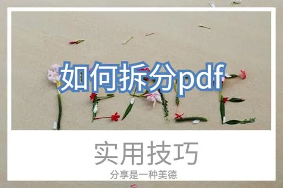 手机pdf怎么拆分成多个pdf 拆分pdf文件最简单的方法 