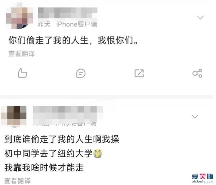 餐券女在饭圈是什么意思 惨圈是什