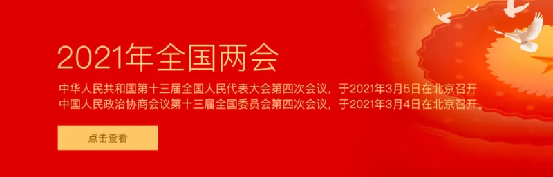 2021两会观后感汇总 2021年两会心