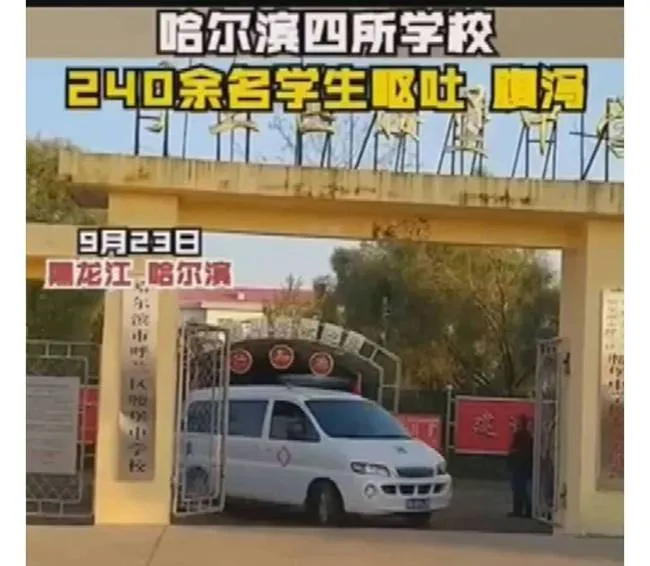 哈尔滨240名学生出现呕吐腹泻什么