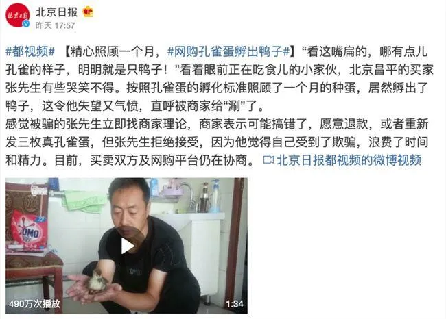 男子网购孔雀蛋孵出鸭子 获赔偿误工费等损失2400元