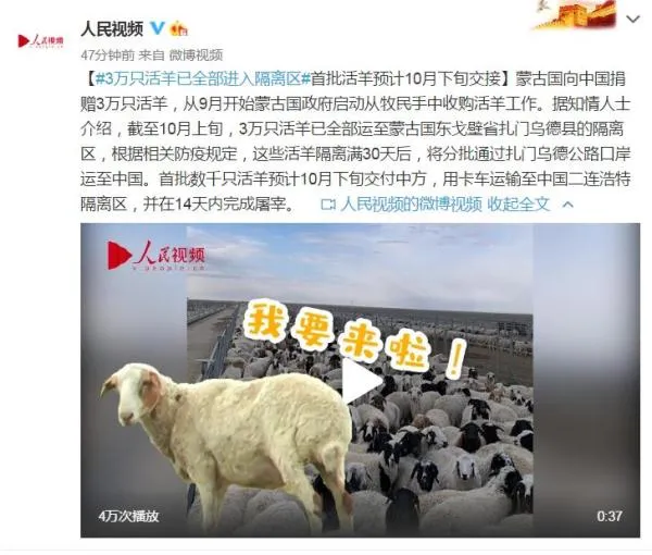 蒙古国捐赠中国的3万只活羊已全部