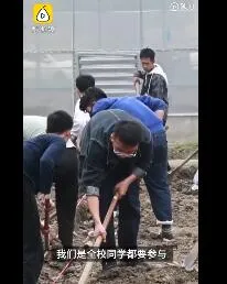 四川一高校将种田纳入必修课怎么回事？学生下地挣学分