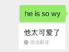 输入she is so什么意思 微信输入she is so会出现什么怎么玩