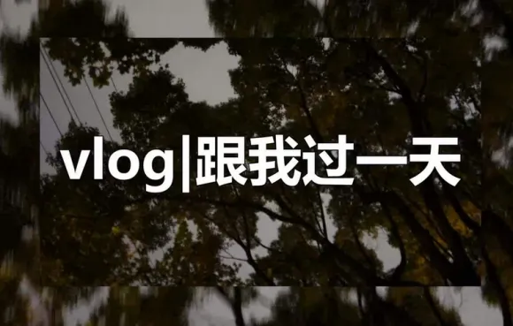 vlog是什么意思 抖音vlog是什么意