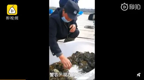 阳澄湖螃蟹大量滞销什么情况？阳澄湖