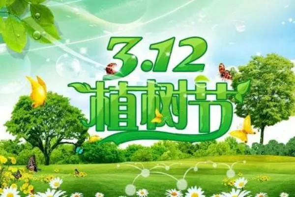 2020植树节是几月几日？植树节可以做