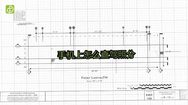 手机上怎么查驾照分（图文）