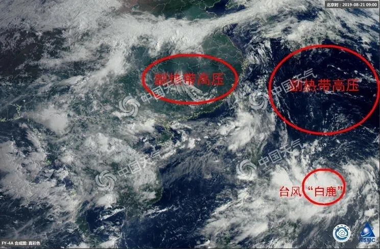 2019第11号台风白鹿最新消息 第11