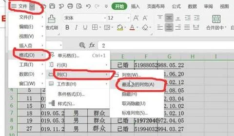 wps表格如何自动适应文字大小