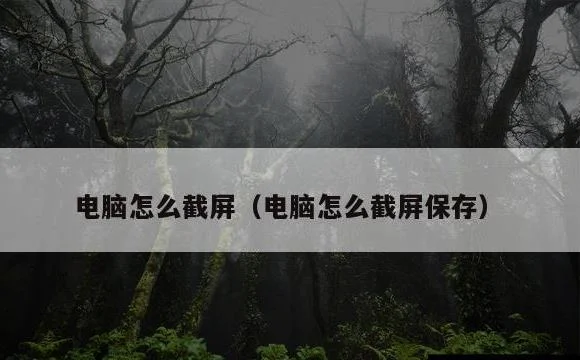 电脑怎么截屏保存 | 电脑怎么截屏