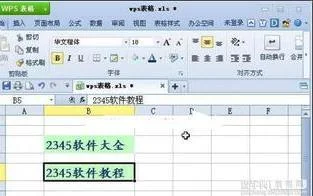 wps表格保护单元格格式 | wps表格