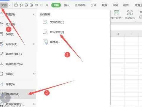 wpsexcel取密码 | wpsexcel设置密