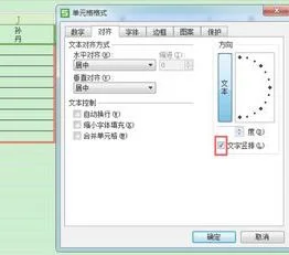 wps表格里如何竖着放字