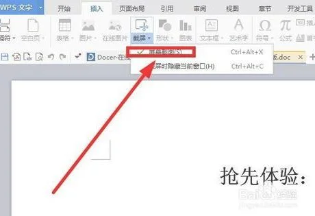 wps中插入清楚的截图 | WPS里面插