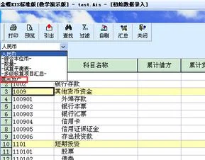 金蝶1月期初数据