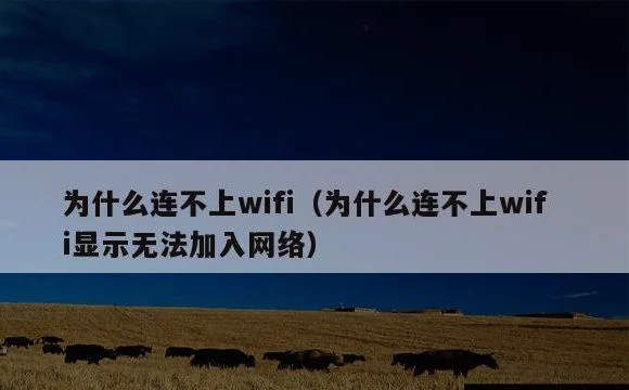 为什么连不上wifi显示无法加入网络