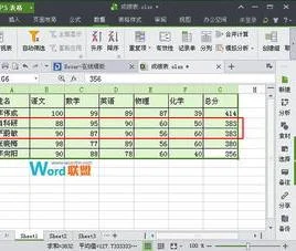 wps在表格中分两个 | wps表格把一