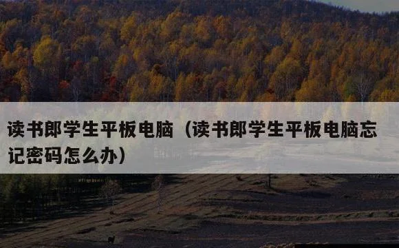 读书郎学生平板电脑忘记密码怎么办 | 读书郎学生平板电脑