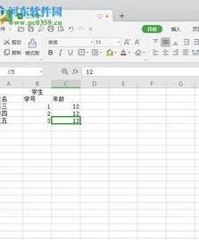 wps的表格制作 | wps表格绘制自己