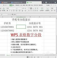 如何把wps表格的数字分段