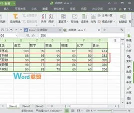 wps在表格中如何分两个