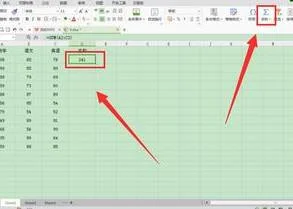用wps使用求和公式 | wps求和wps表
