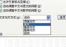 wps如何修改文本类型