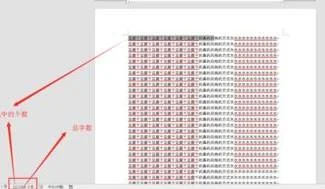 搜wps的字数 | 看WPS文字里文章的