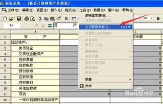 金蝶账套里财务报表公司名字咋换 |