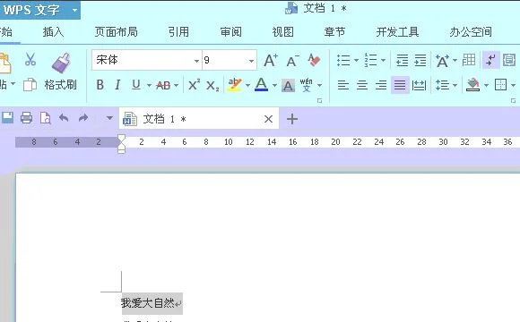 给wps上的文字注音 | wps在文字上