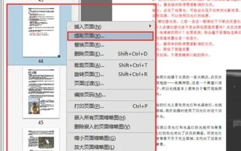 wps打开pdf如何设页码