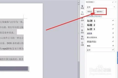 wps中如何在中标注文字不显示