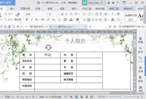 wps文字中表格增加底纹 | 在wps文