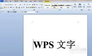 wps文字格式如何编辑文字格式