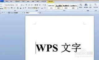 wps文字格式编辑文字格式 | WPS文