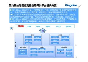 金蝶软件财务实施顾问