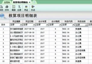 金蝶核算项目明细账页眉页脚