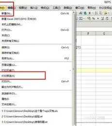 wpsoffice如何预览