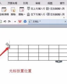 wps表格再添加标题 | 在WPS文字里