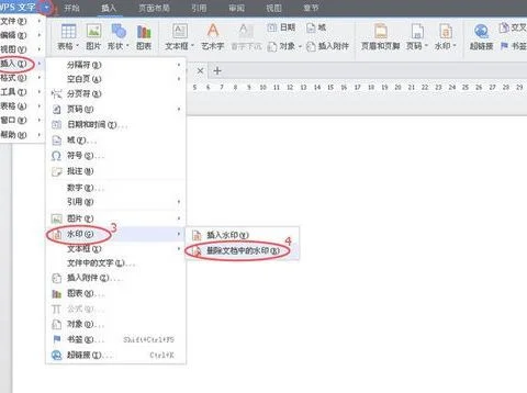 wps中如何去除水印