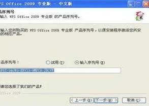 wps企业版如何激活码