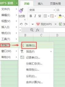 wps工作表输入日期 | wps表格中插