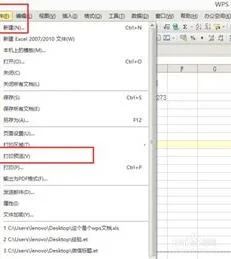 wpsoffice预览 | wps打印预览选中