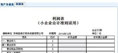 小企业,报表,会计准则,金蝶