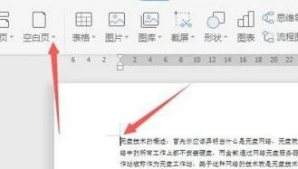 wps在文本前加空白页 | WPS文档页