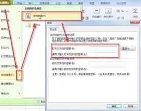 wps隐藏密码如何设置