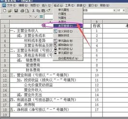 金蝶kis记账王V11.0利润表公式