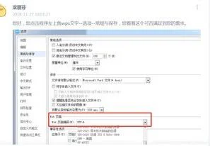 如何查看wps的编码格式